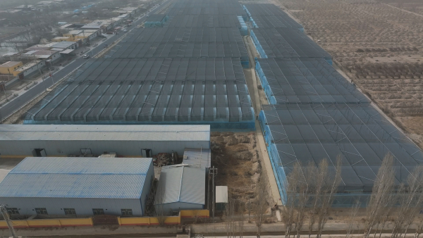 策勒县一季度53个项目开复工 总投资93.92亿元