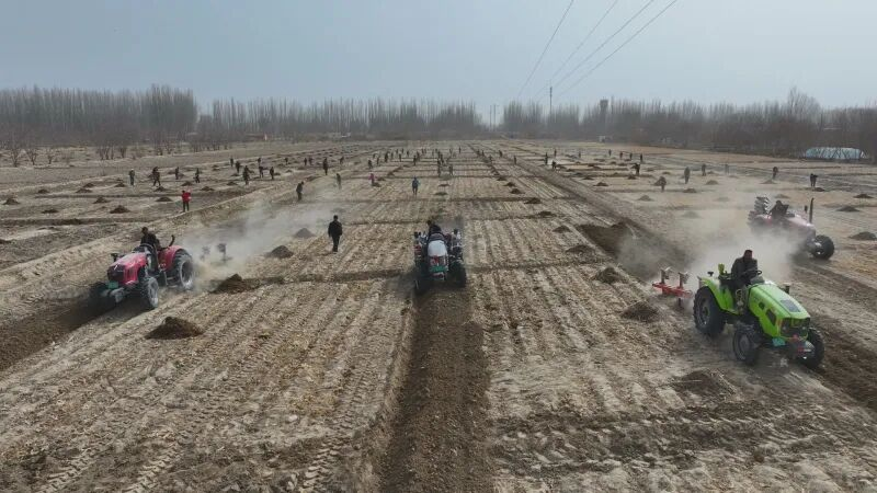 策勒县抢抓农时 12.1万亩玉米开播